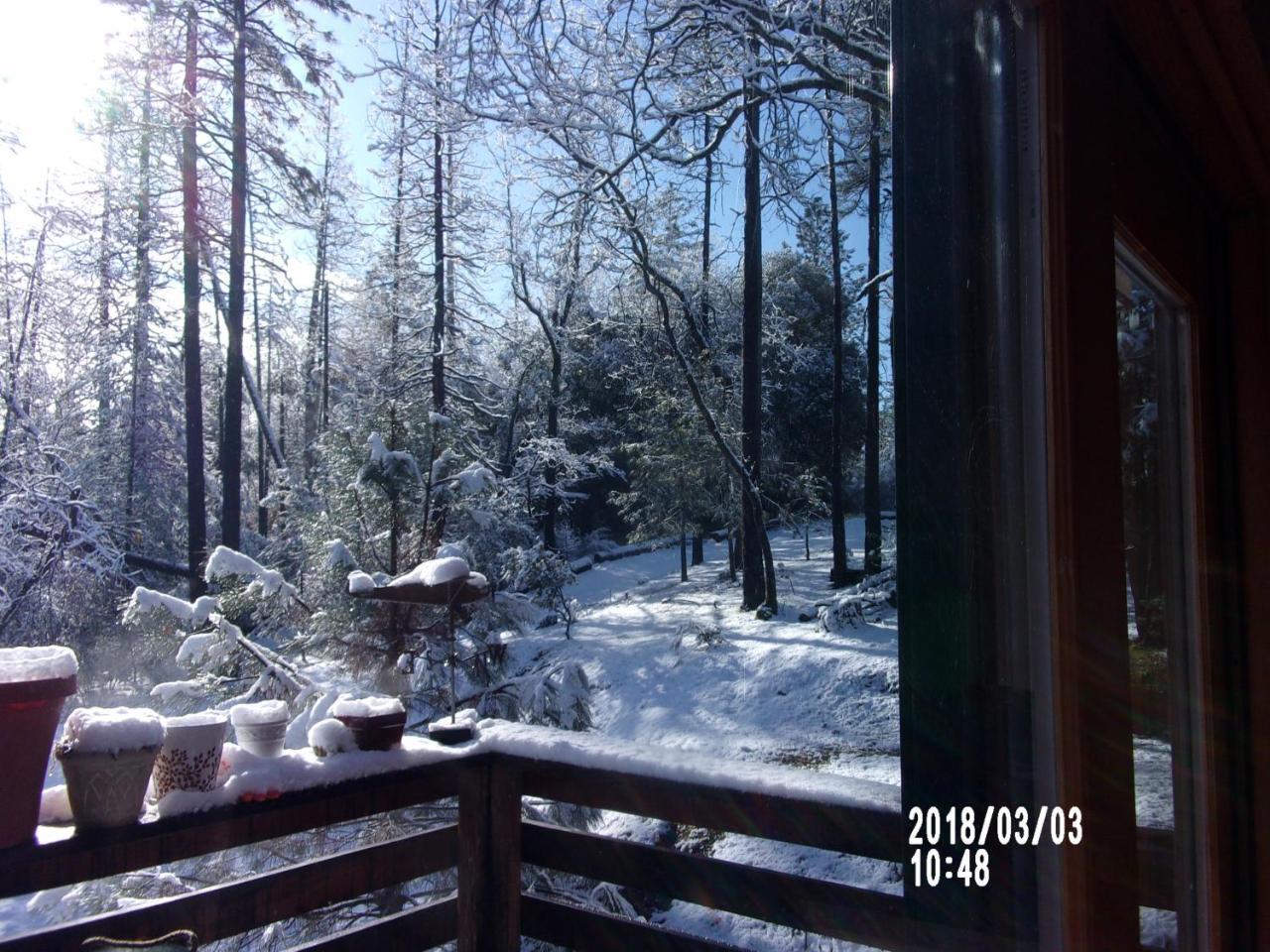 The Cub Inn B&B Groveland Buitenkant foto